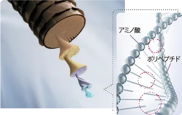 へたらない持続力。ブリーチ力が長く続く。