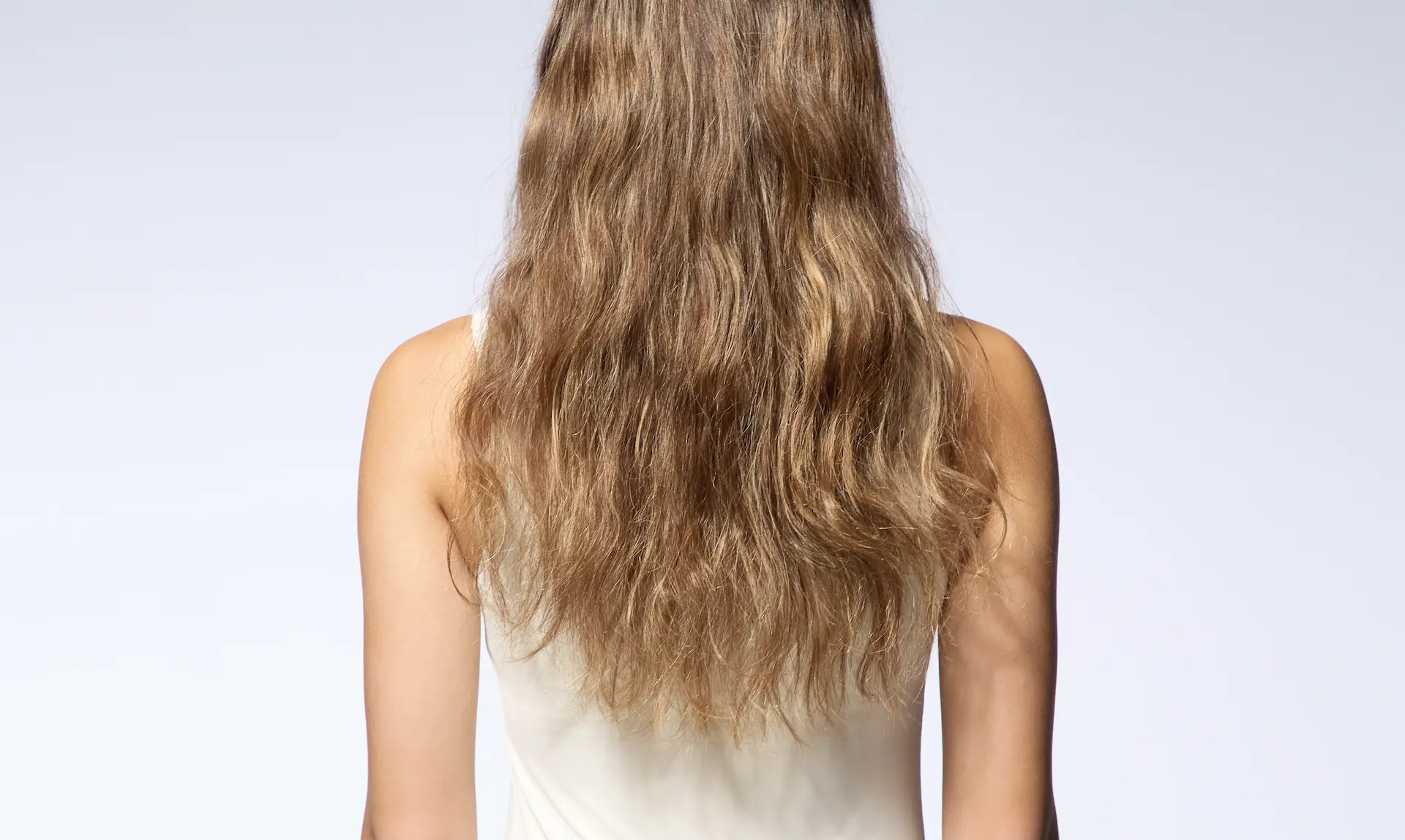 くせ毛の女性の後ろ姿