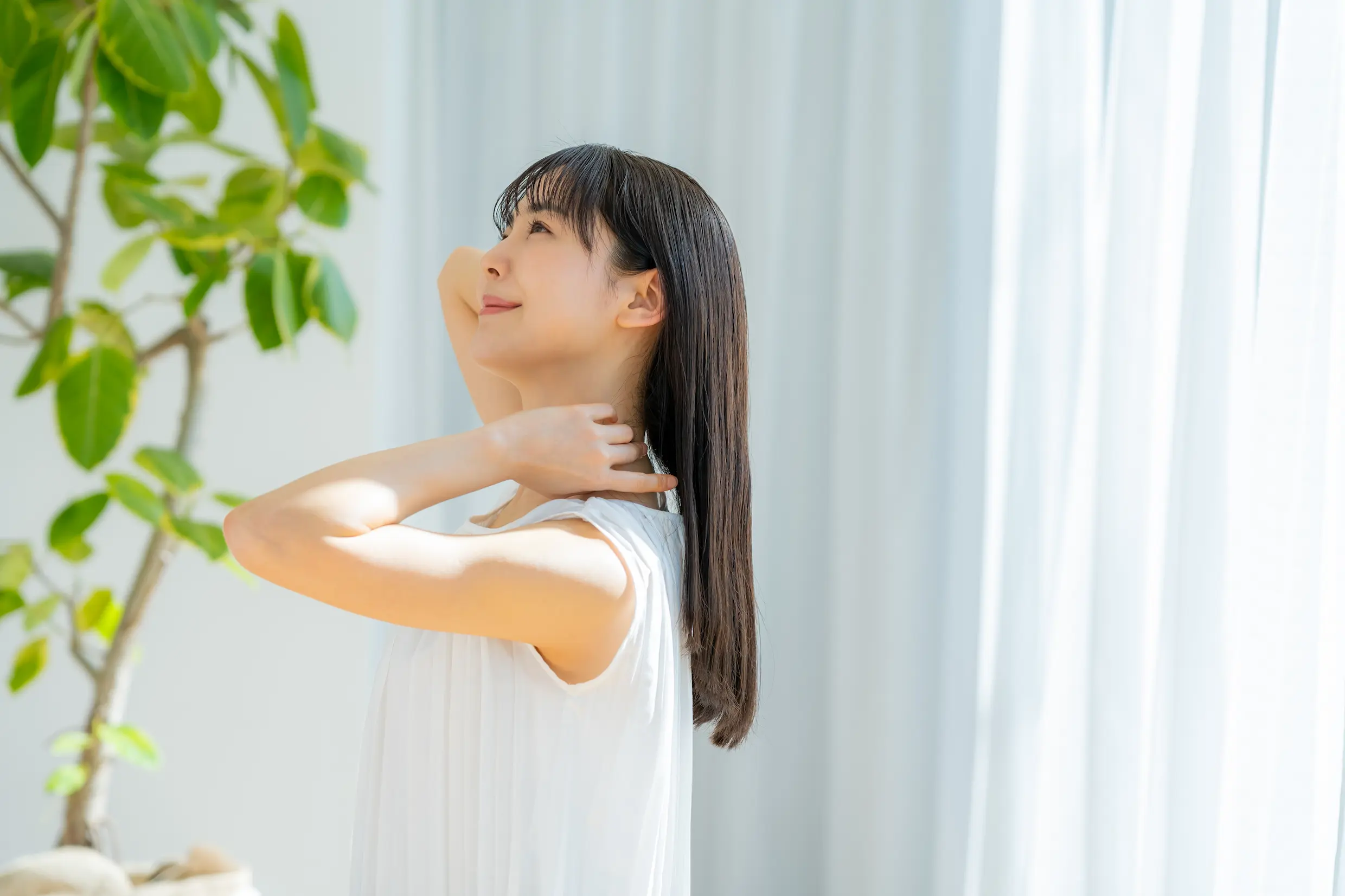 室内で光を浴びる女性の姿画像