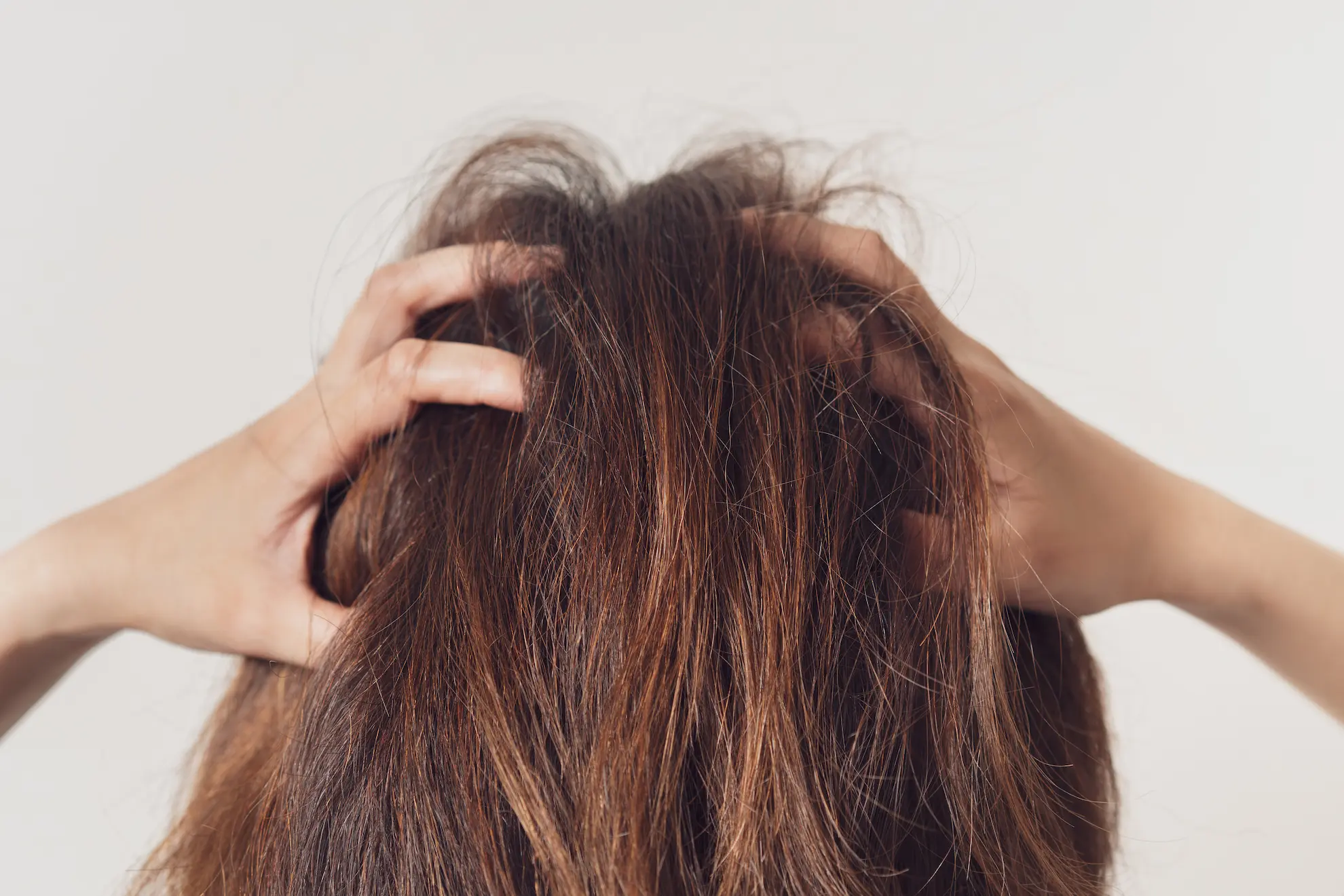 髪の毛を両手でつかむ人の後ろ姿